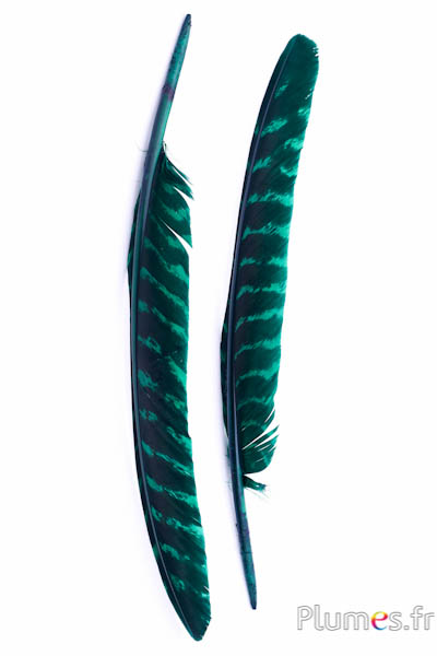 Dindon bronze - 33-38 cm - émeraude-noir 